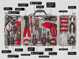 Apollo Precision Tools DT0738 Household Tool Kit, 161-Piece - Gasbike.net